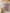 Robe été fleurie style Liberty fille Jacadi - 2 ans - Rose