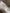 Sweat sherpa crème H&m Mixte 3 ans hiver manches longues fille garçon