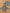 Lot De 2 Chemises Garçon Manches Longues 6-9 Mois