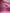Body manches longues rose Boutchou fille 18 mois mi-saison col Us