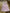 Ensemble Obaïbi fille robe salopette t-shirt manches courtes rose 6 mois été