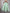 Robe fille Kiabi 3 ans vert menthe broderie été