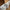 Sweat-shirt pull beige Name It fille 2 ans manches longues mi-saison