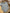 Lot de 3 bodies fille Vertbaudet 3 ans fleurs mi-saison col Us manches longues