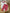Ensemble Sergent Major blanc fille 6 mois manches longues body legging