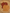 Lot 2 t-shirts manches longues Vertbaudet garçon 5 ans marron mi-saison