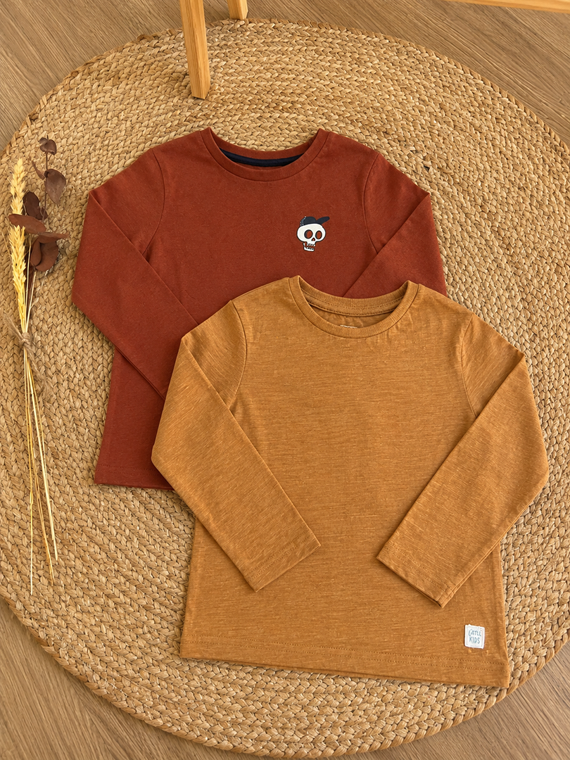 Lot 2 t-shirts manches longues Vertbaudet garçon 5 ans marron mi-saison