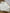 Haut manches longues fille fleurie Primark - 12 mois / 18 mois - Crème joli col