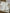 Robe gaz de coton avec joli col fille Mango Kids - 3 mois - Blanc