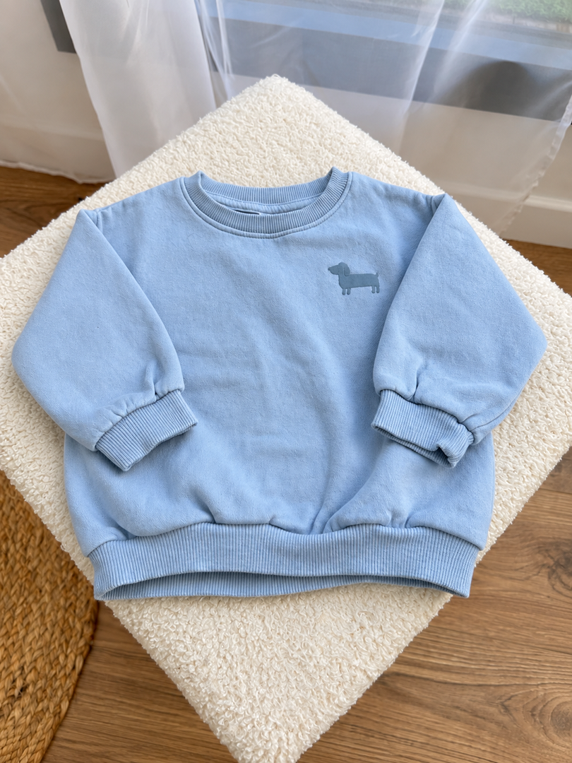 Sweat-shirt pull bleu clair hiver Tex Baby garçon 12 mois manches longues