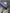 Ensemble polaire bleu garçon 12 mois hiver manches longues surchemise