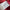 Sweat fille Kiabi rouge mi-saison manches longues 3 ans