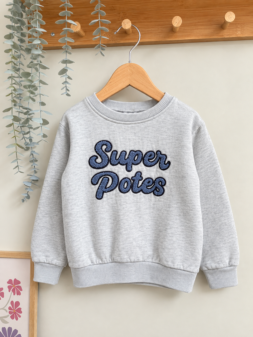 Sweat pull Tape à l'œil Tao 2 ans 3 ans garçon gris mi-saison manches longues