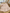 Robe rose manches longues Orchestra fille mi-saison 3 mois