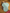 Lot 3 bodies col Us Petit Bateau fille manches longues Mi-saison 2 ans