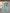 Pantalon à bretelles fille Obaïbi - 6 mois - Turquoise