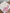 Ensemble fille rose et beige mi-saison pull manches longues et leggings 12 mois