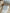 Pull jacquard crème Obaïbi 12 mois fille hiver neuf
