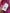 Combinaison anti-uv Nabaiji fille rose mi-saison manches courtes 6 ans