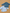 Lot 2 Chemises Manches Longues Garçon Mi-saison 6-9 Mois