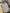Lot de 3 bodies fille Vertbaudet 3 ans fleurs mi-saison col Us manches longues
