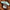 Pantalon velours marron Obaïbi fille 12-18 mois / 80cm - Automne