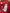 Robe rouge velours côtelé fille Sergent Major 3 ans manches longues hiver