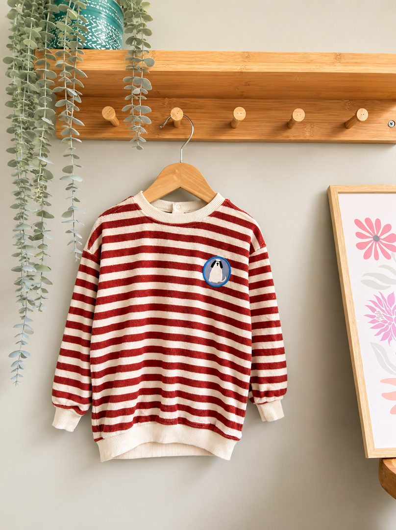 Sweat pull éponge Hema 2 ans 3 ans 92 cm garçon rayé rouge mi-saison