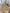 Gilet moutarde Eden et Victor fille mi-saison 18 mois manches longues