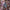 Robe fille Zara Kids liberty fleurs mi-saison manches longues 5 ans