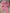 Lot 2 pyjamas 1 pièce velours rose Kiabi fille 3 mois manches longues
