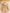 Trench beige Cyrillus fille 4 ans mi-saison