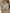 Lot 2 bodies fille Gémo 3 ans manches longues floral vert col Us
