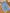 Pantalon large jean mixte Petit Bateau bleu 18 mois mi-saison garçon ou fille