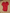 Lot de 4 bodies fille manches longues mi-saison rouge et rose Petit Bateau 6 mois
