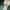 T-shirt manches longues vert Minecraft garçon 6 ans mi-saison