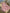 Ensemble robe fleuri + body fille Sergent Major mi-saison 6 mois