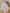 Lot 2 leggings Gemo fille 12 mois rose vert côtelés mi-saison