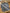 Chemise garçon Bout'chou 2 ans carreaux manches longues