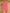 Lot 2 pyjamas 1 pièce velours Gémo Kiabi 12 mois fille hiver