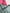 Lot 2 bodies manches longues col Us Petit Bateau rose et menthe 2 ans fille