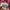 Pantalon fille Frangin Frangin rose fleuri mi-saison 12 mois - 18 mois