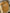 Lot de 3 bodies fille Vertbaudet 3 ans fleurs mi-saison col Us manches longues