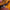 Imperméable jaune 12 mois mixte fille garçon mi-saison manches longues