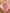 Maillot de bain 1 pièce fille Tape à l'oeil 3 ans rose fleurs été