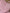 Lot 2 bodies col Us rose Petit Bateau 6 mois fille manches longues