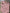Barboteuse Zara Kids - 6 mois / 9 mois - Rose - Fille