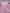 Lot 2 robes côtelé fille Primark 6 mois 9 mois 74 cm rose manches longues mi-saison