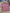 Lot 3 t-shirts manches longues Kiabi fille rose 3 mois