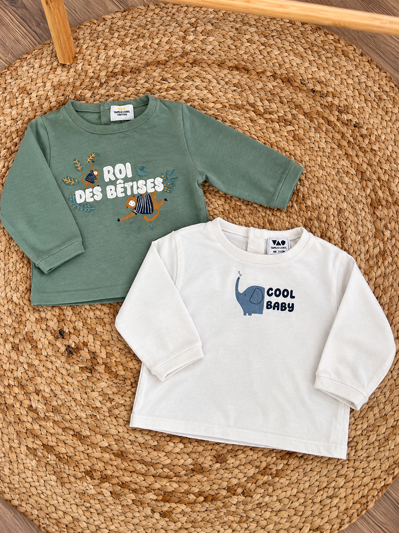 Lot de 2 t-shirts manches longues garçon Tape à l'œil 9 mois mi-saison